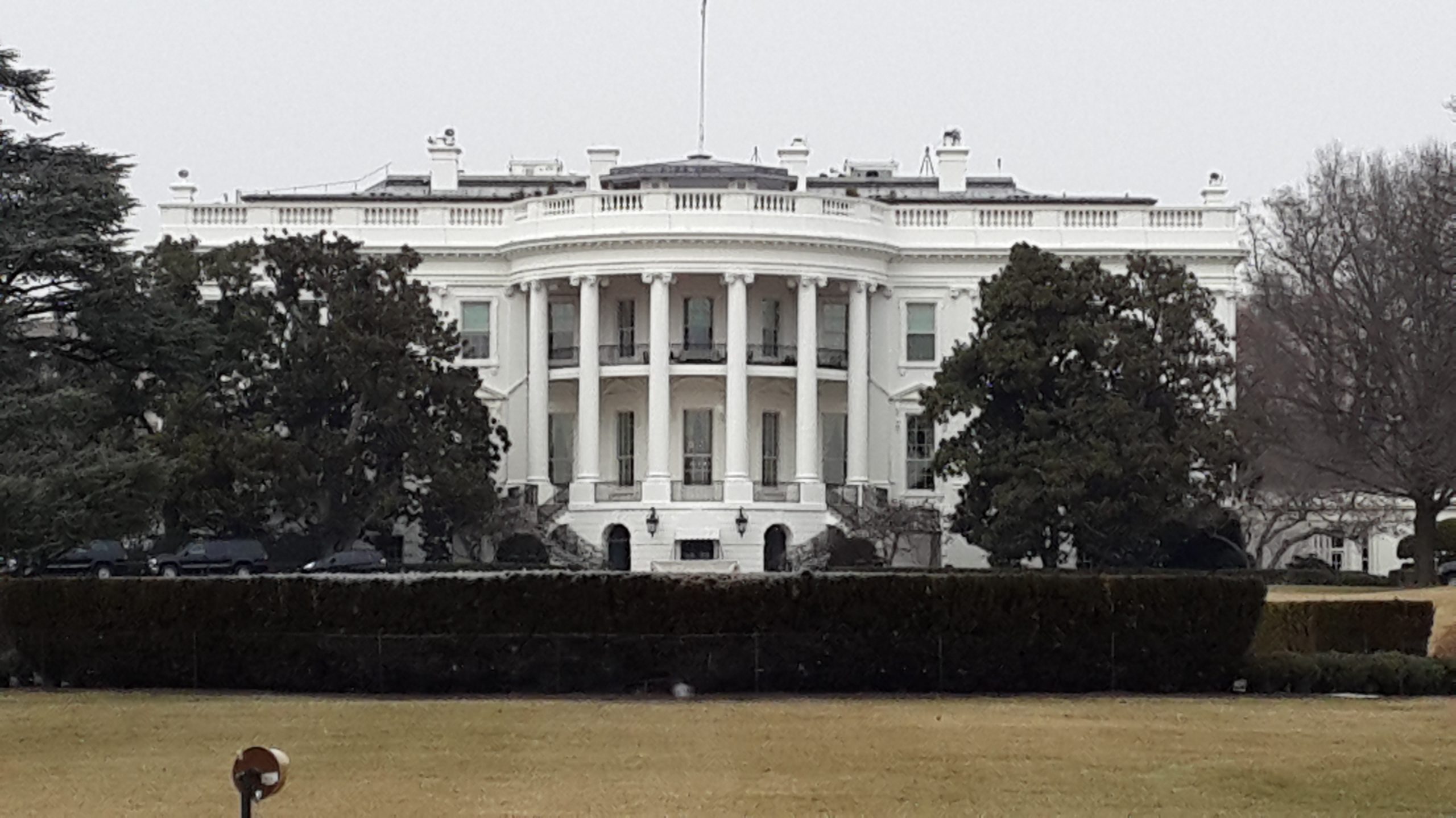 Tour a Washingon por el dia, Desde New York